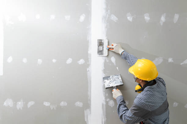 Best Commercial Mold Inspection  in USA